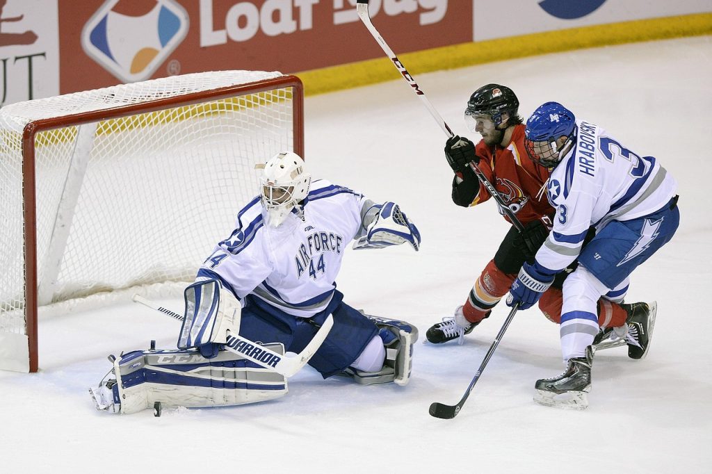 hockey goalie