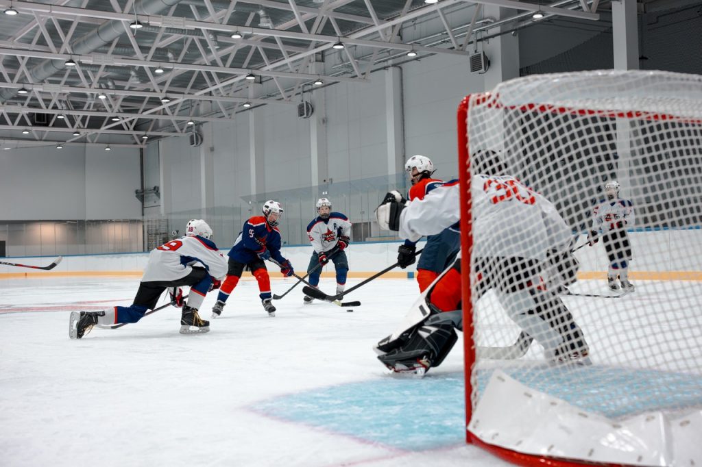 Hockey Synthethic Ice
